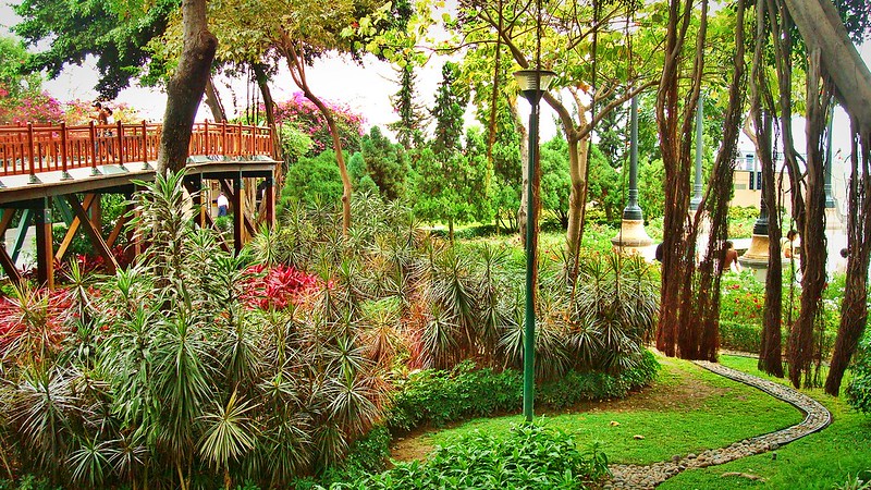 Jardines del Malecon